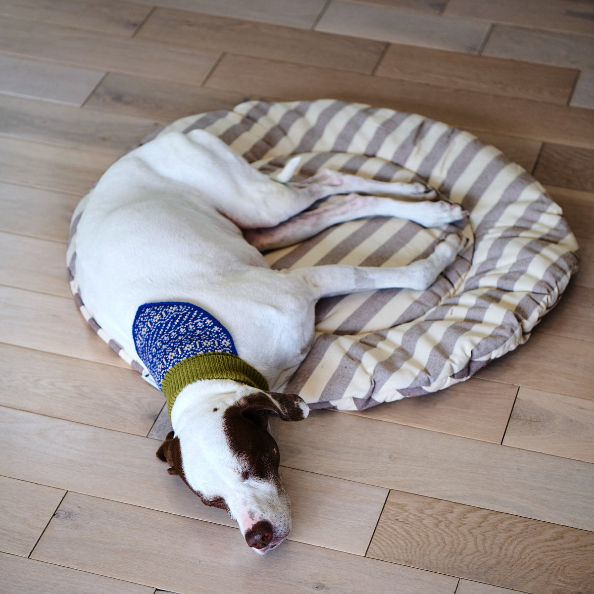 Pet Replacement Cushion product image 2