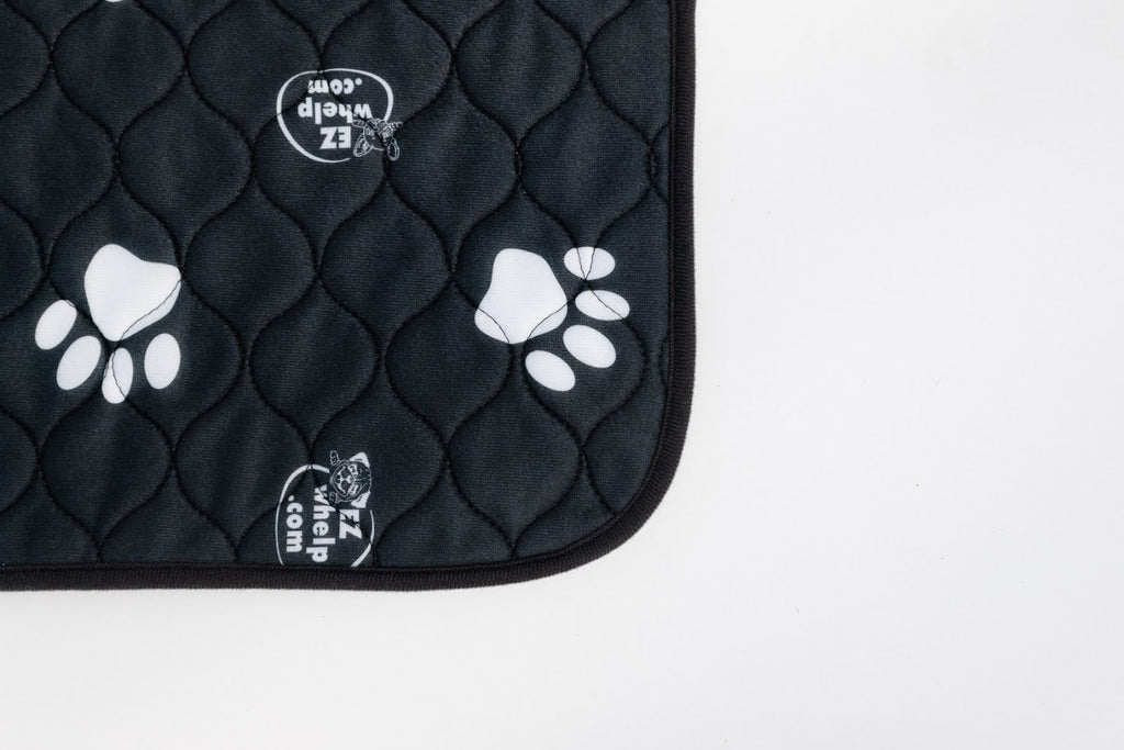 Washable Dog Pad product image 2