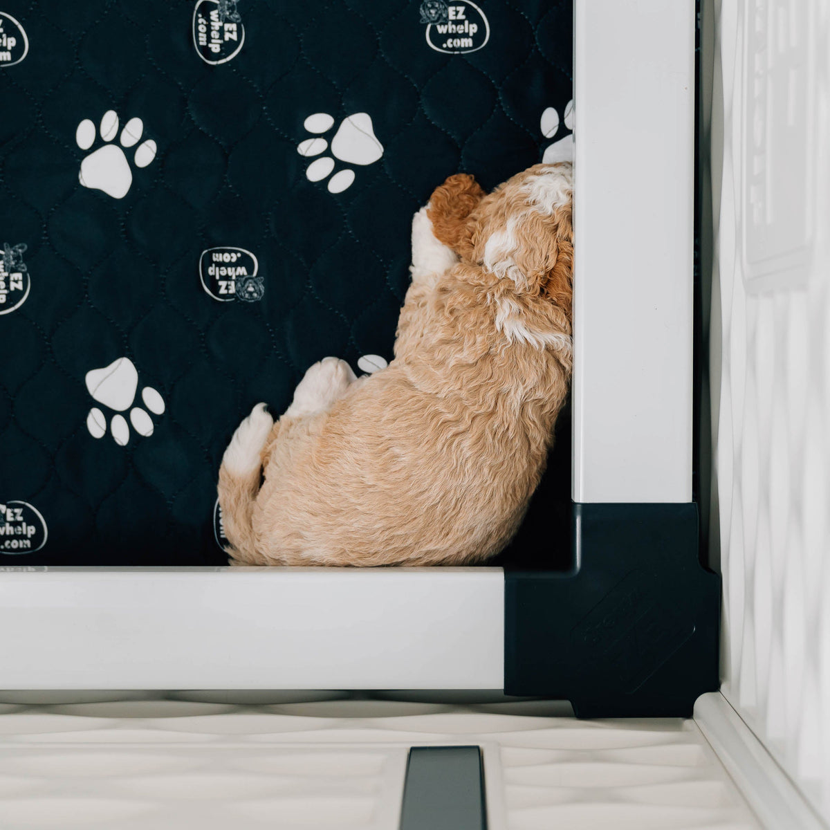 Washable Dog Pad product image 4