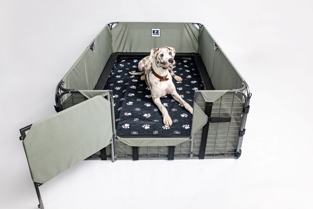 Washable Dog Pad product image 7