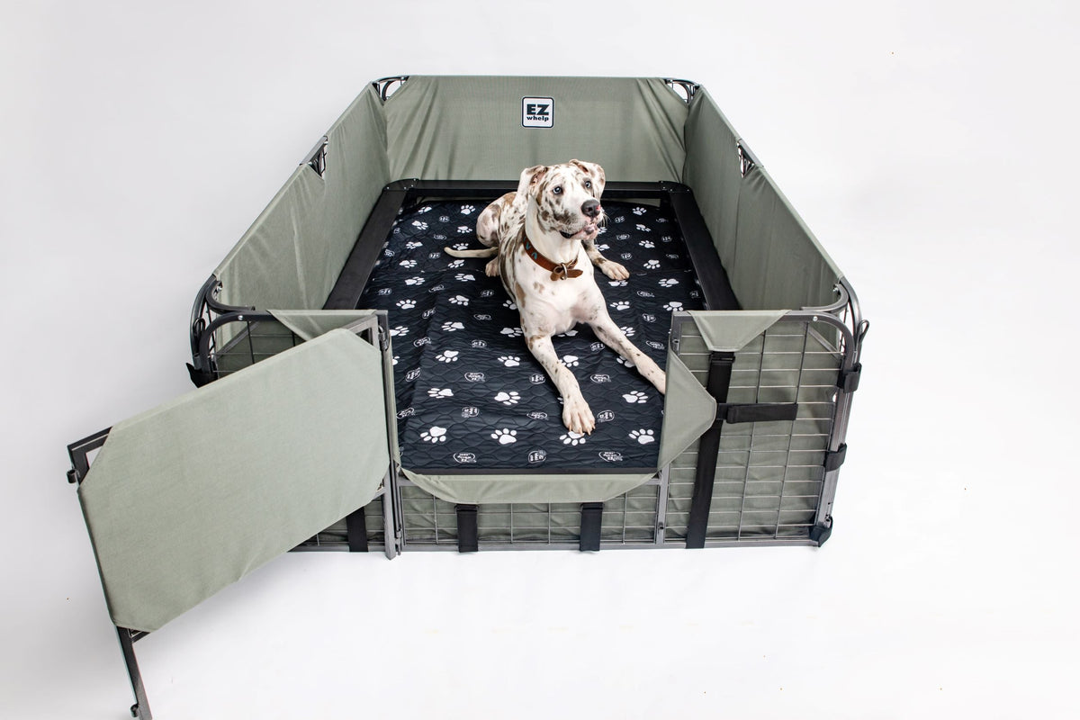 Washable Dog Pad product image 7