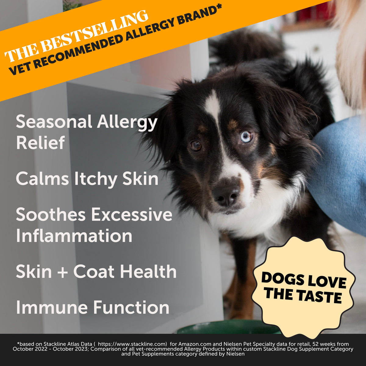 Dog Supplement Bundle product image 6