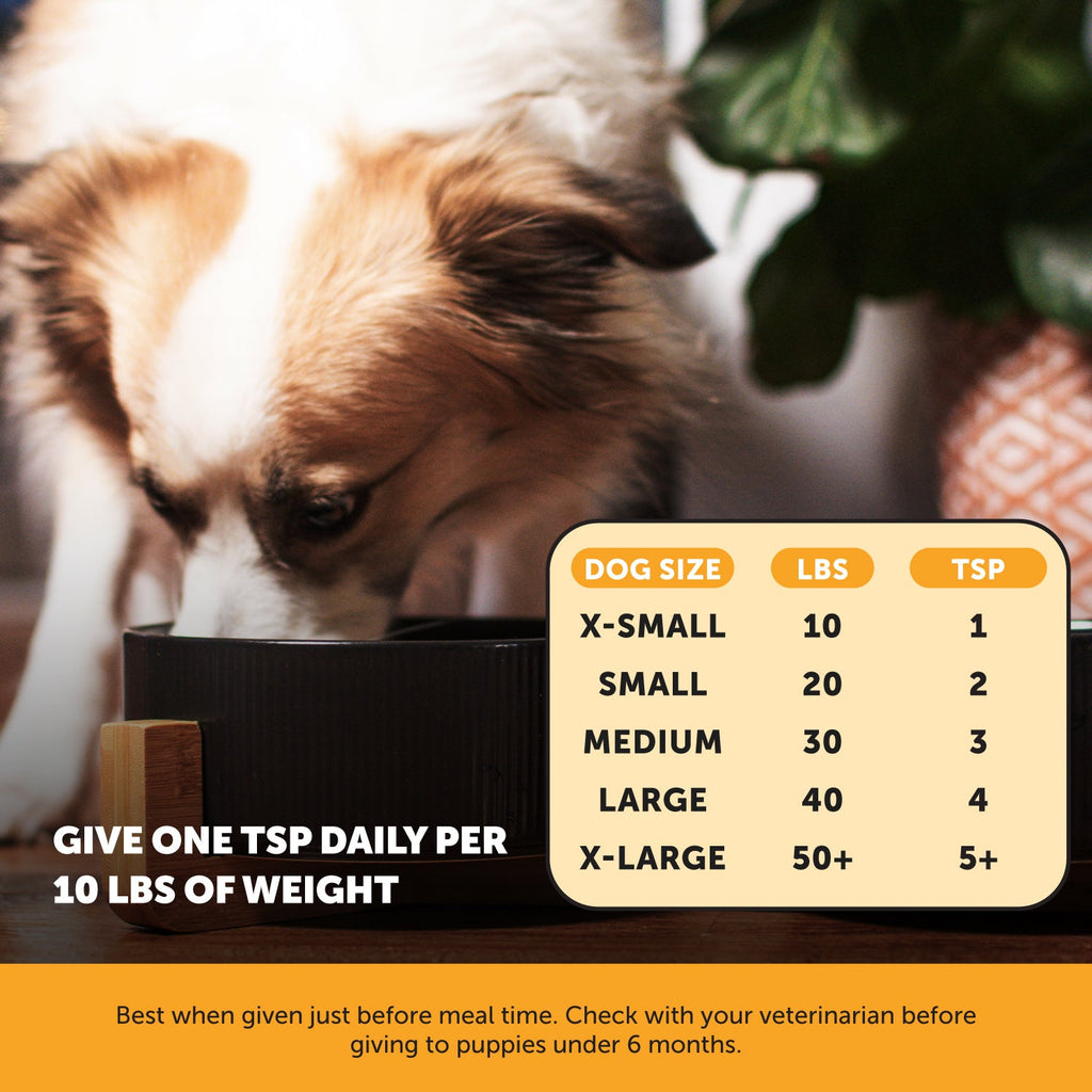 Dog Supplement Bundle product image 8
