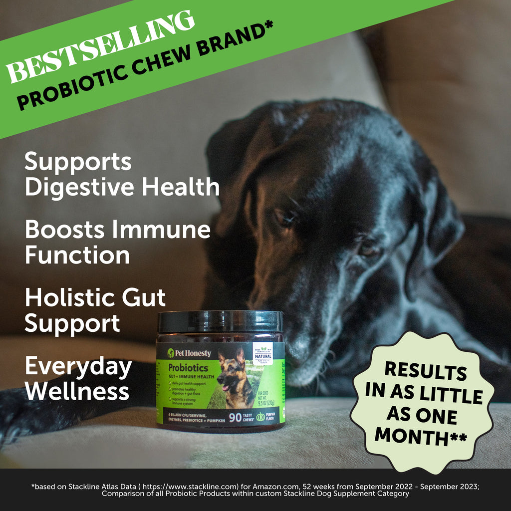 Dog Supplement Bundle product image 10