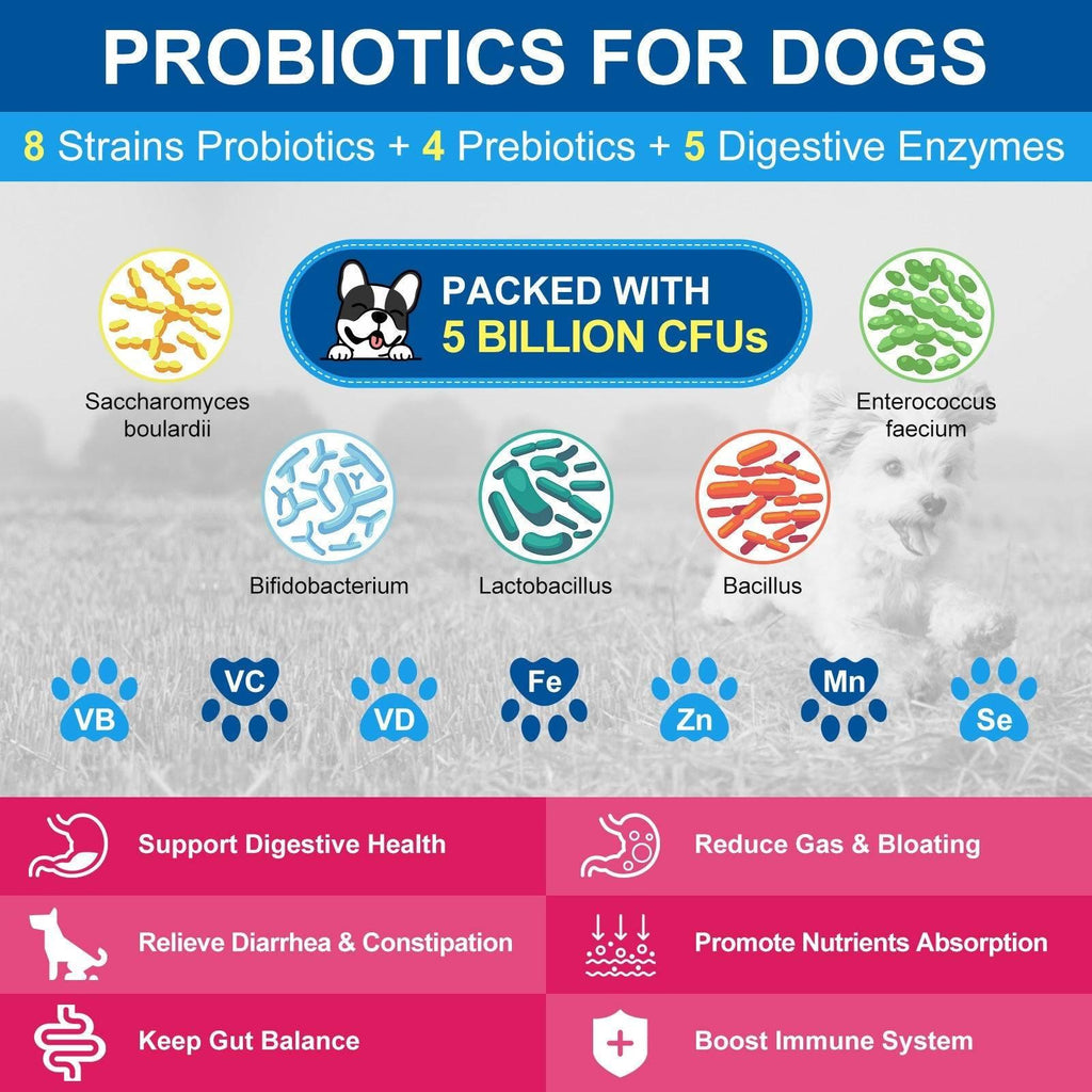 Pet Multivitamin Powder product image 2