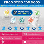 Pet Multivitamin Powder product image 2
