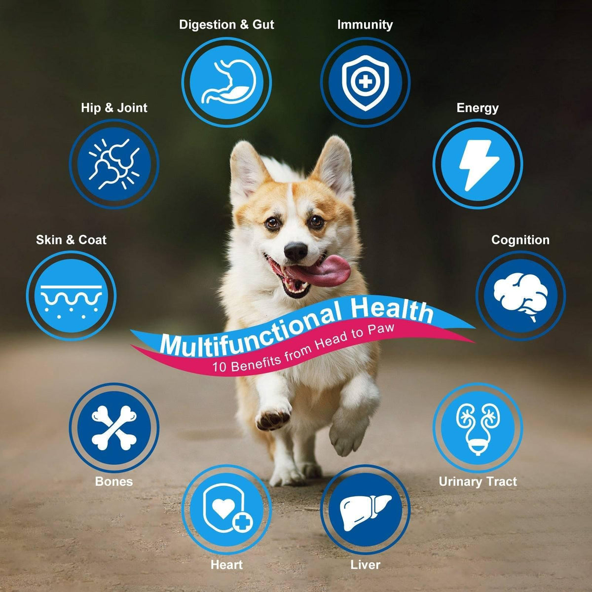 Pet Multivitamin Powder product image 3