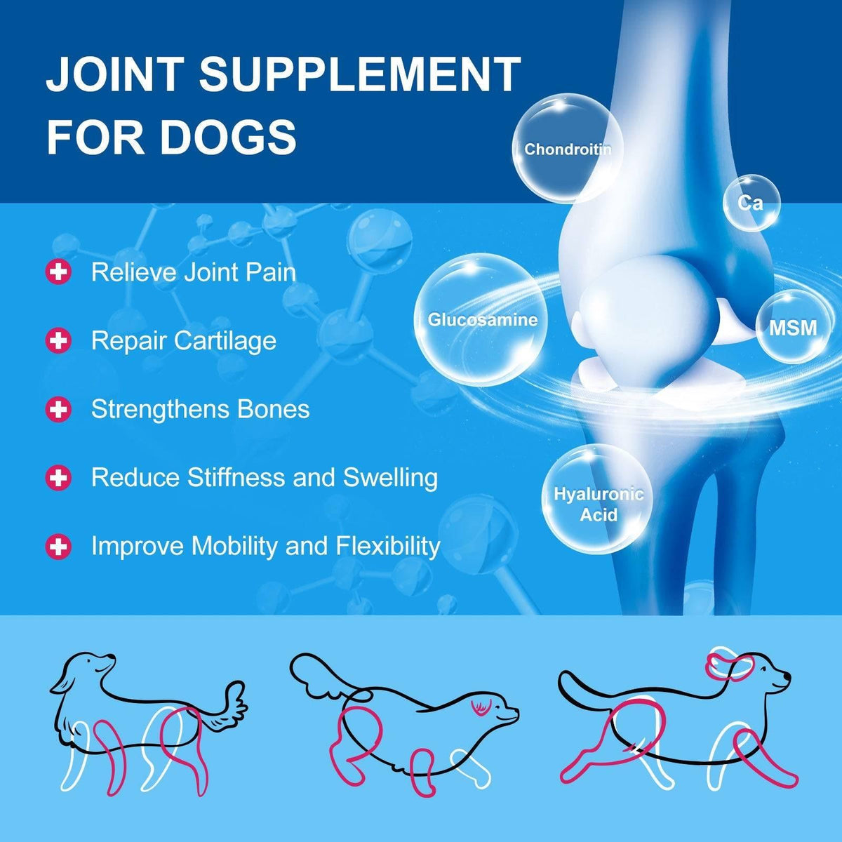 Pet Multivitamin Powder product image 4