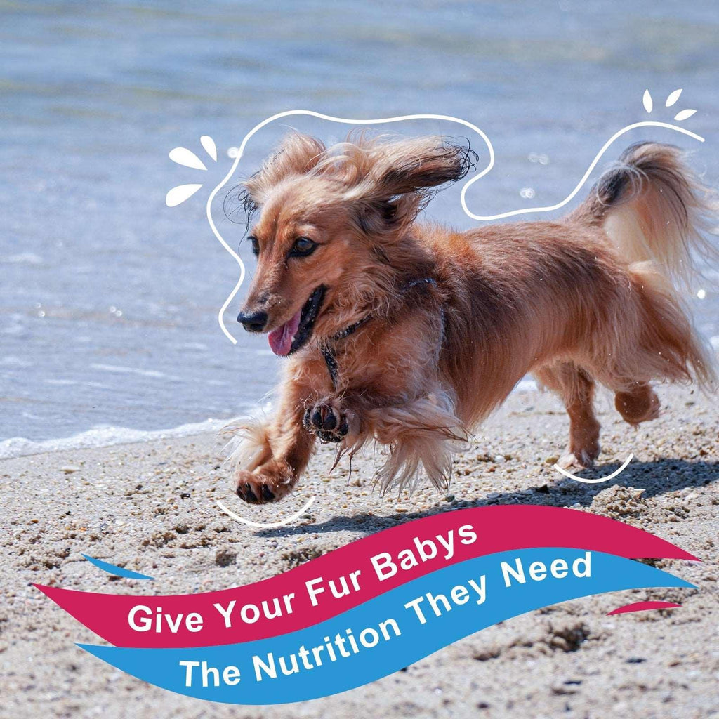 Pet Multivitamin Powder product image 8
