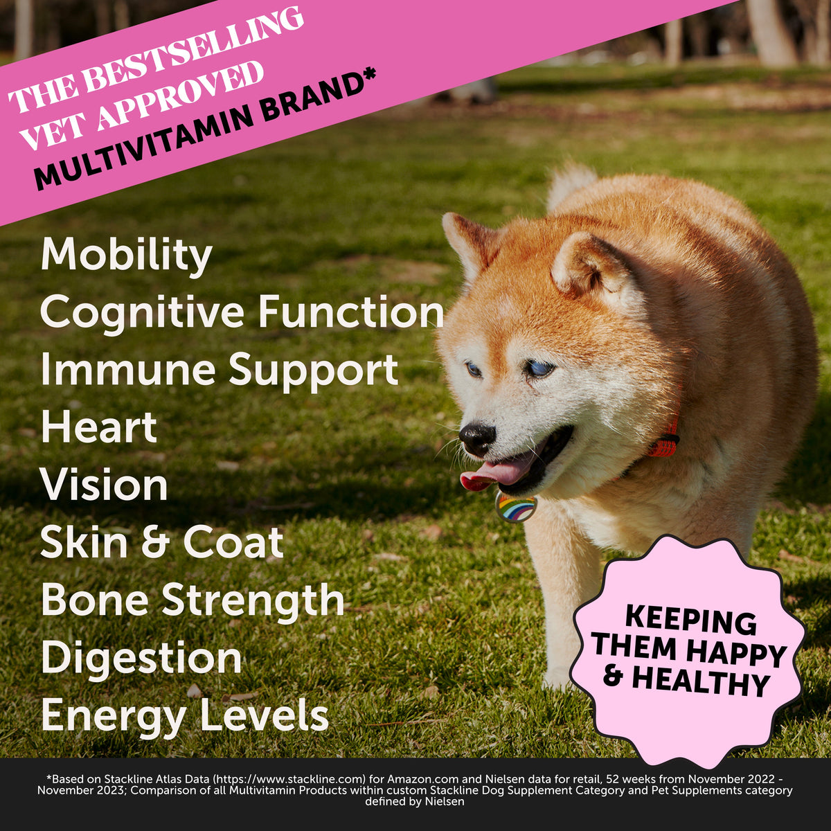 Senior Dog Supplement Bundle product image 2
