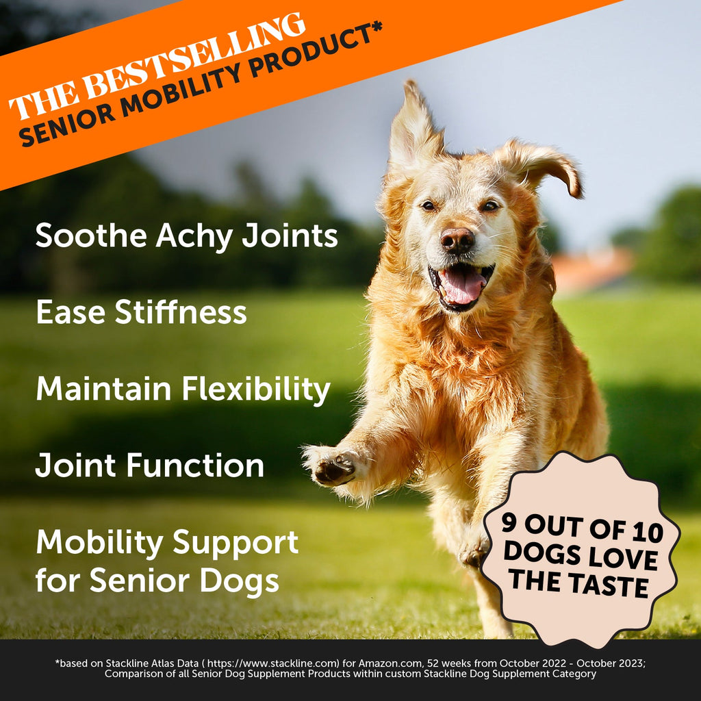 Senior Dog Supplement Bundle product image 5