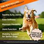 Senior Dog Supplement Bundle product image 5