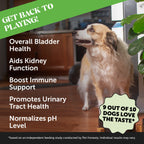 Senior Dog Supplement Bundle product image 8