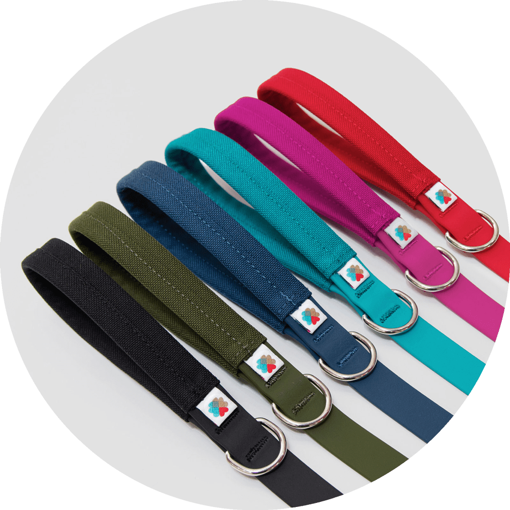 Dog Leash product image 1