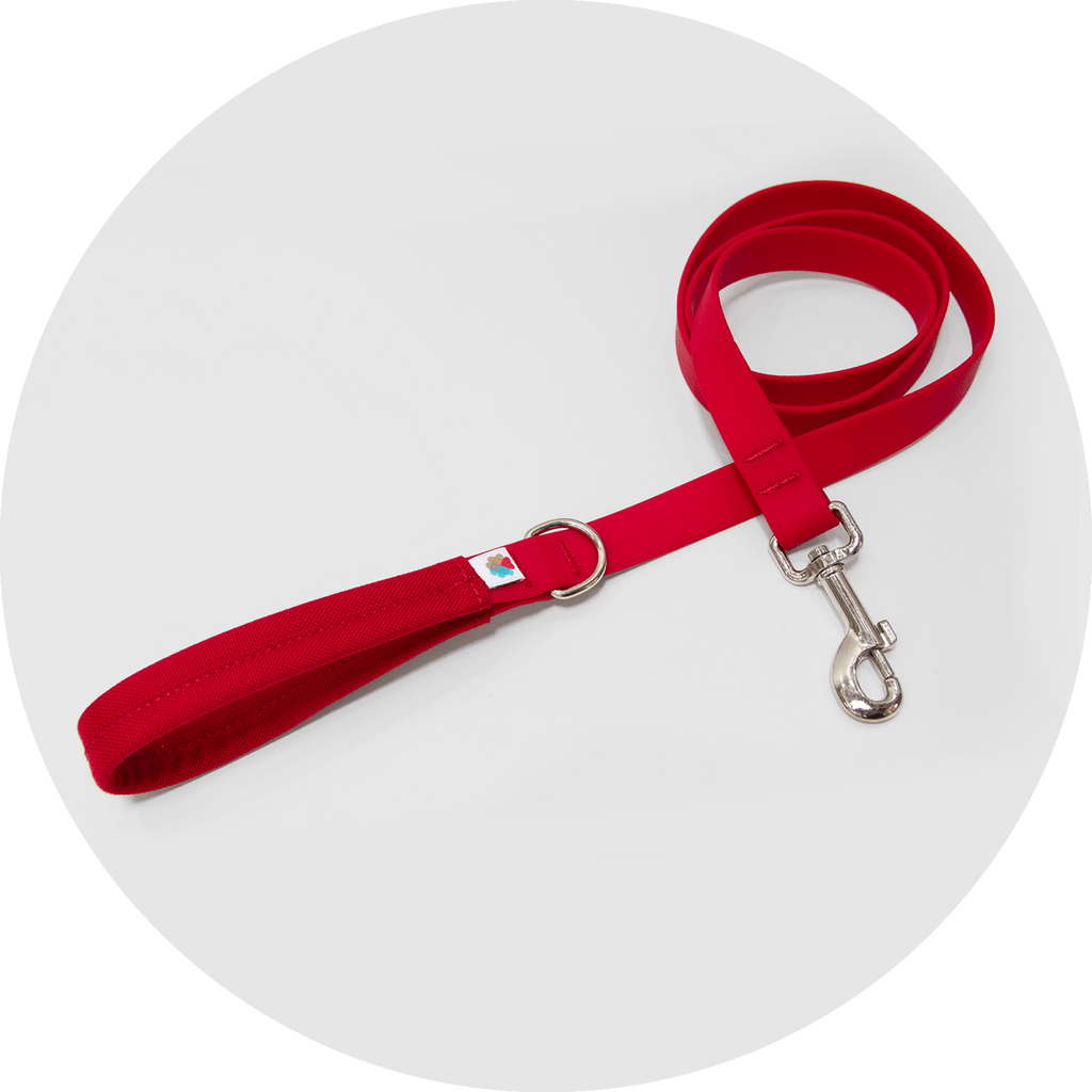 Dog Leash product image 2