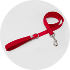 Dog Leash product image 2