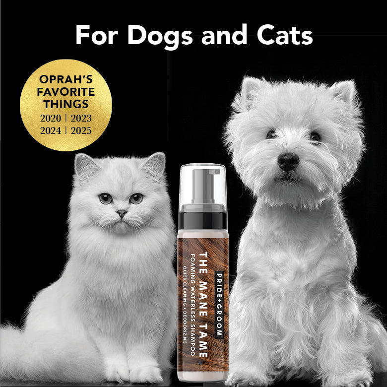 Waterless Pet Shampoo product image 2