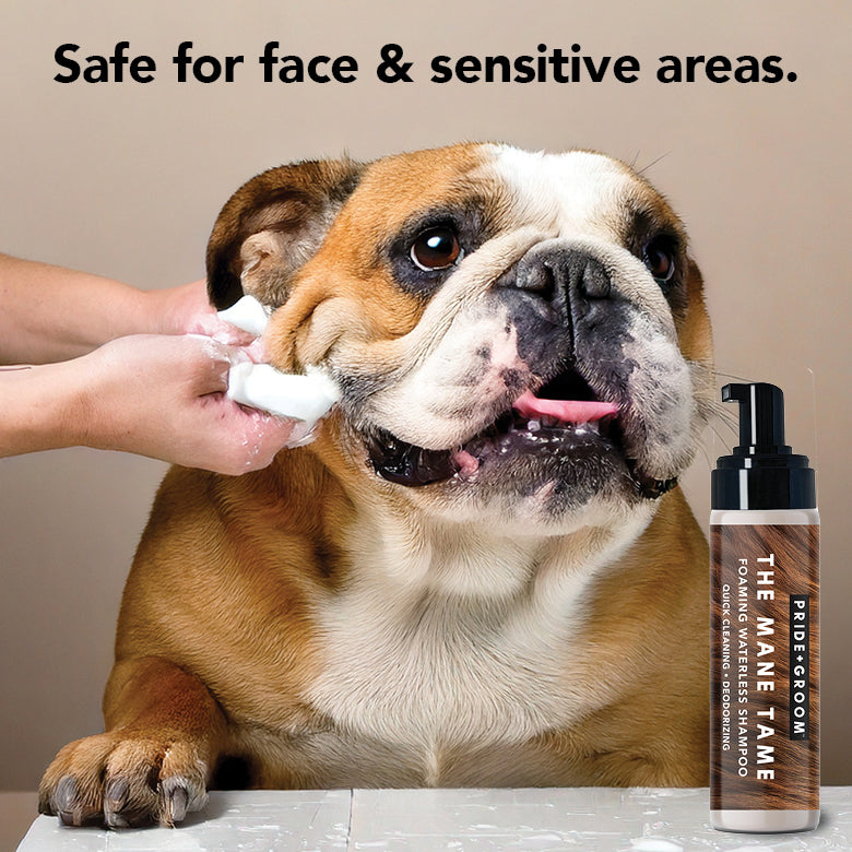 Waterless Pet Shampoo product image 3