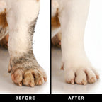 Waterless Pet Shampoo product image 4