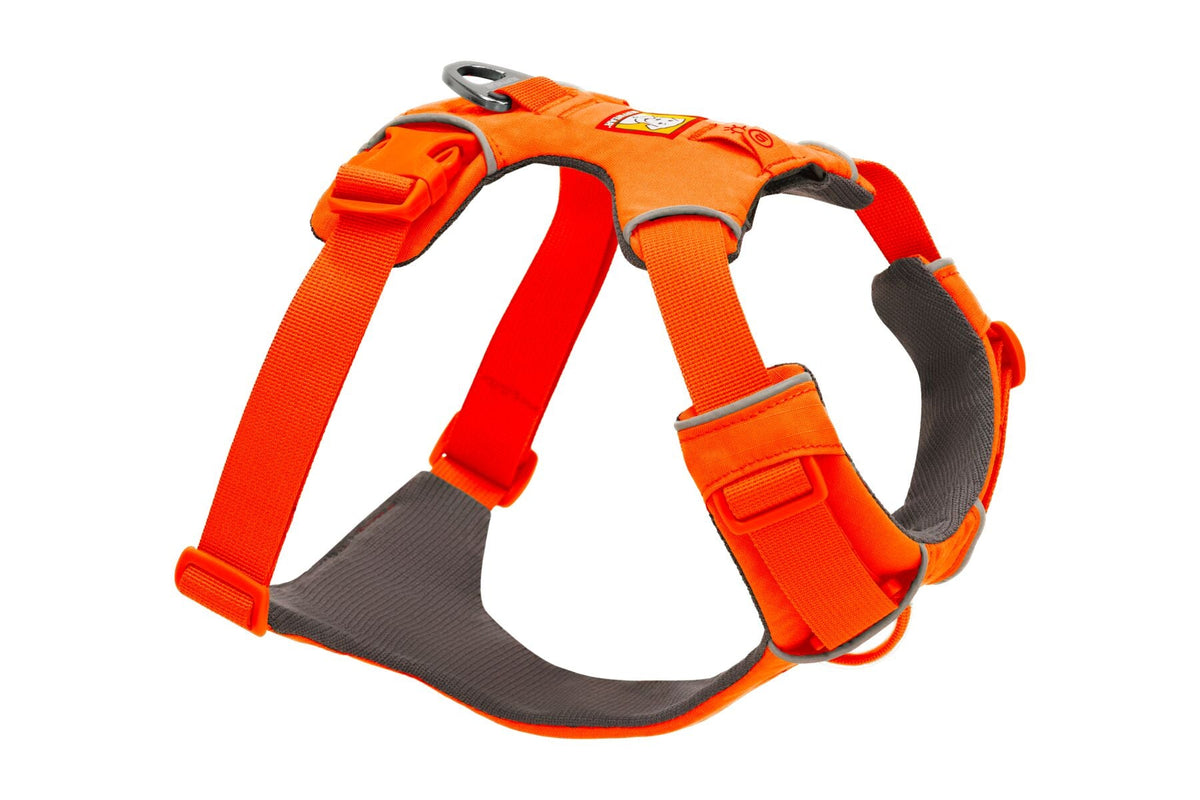 Dog Harness product image 1