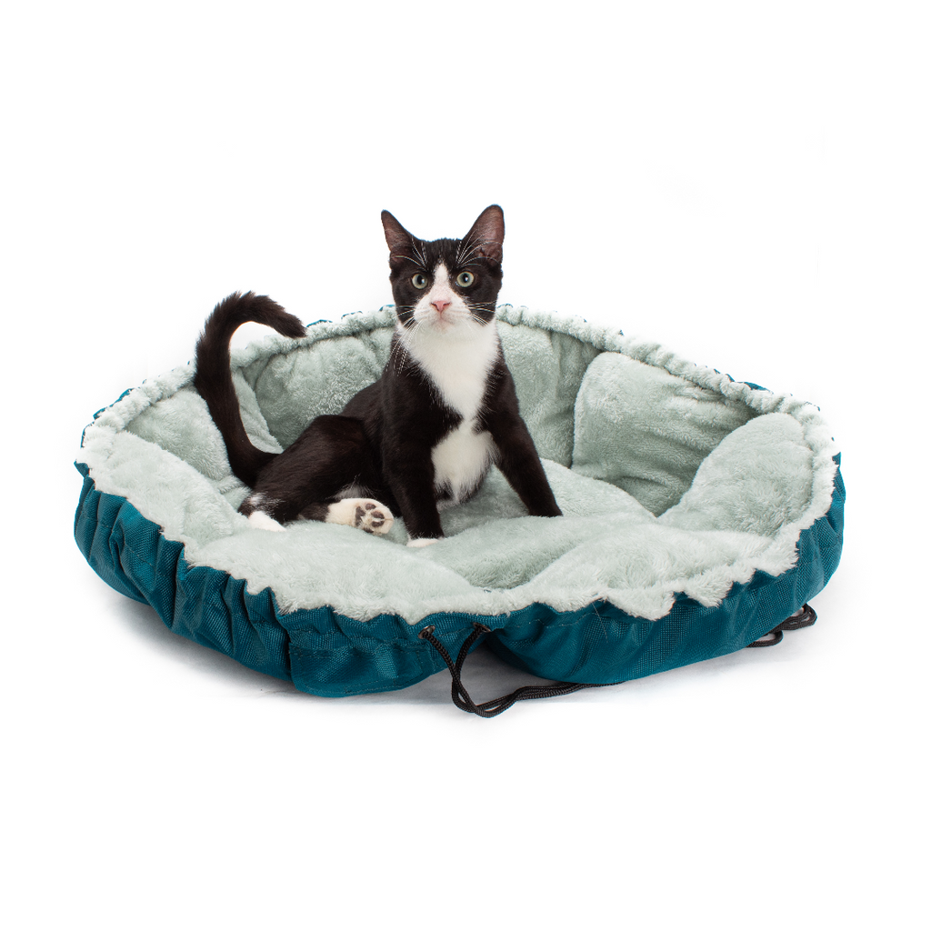 Cat Play Bundle product image 7