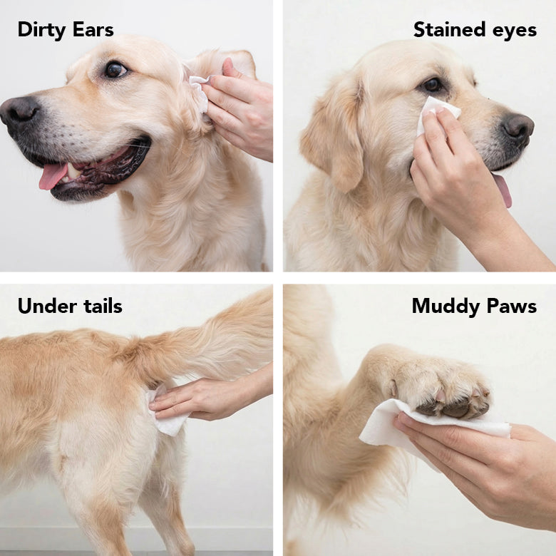 Deodorizing Pet Wipes product image 3