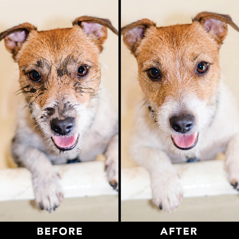Deodorizing Pet Wipes product image 8