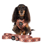 Dog Leash product image 2