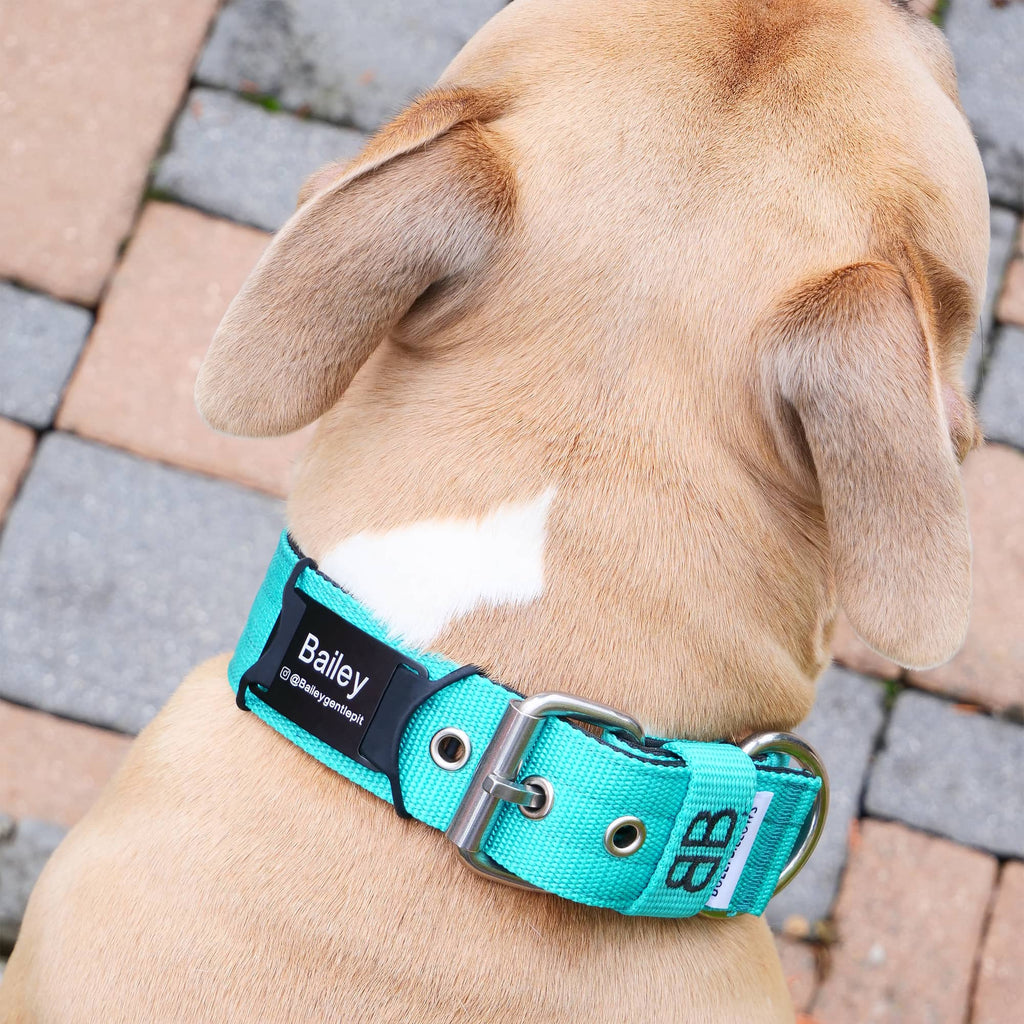 Dog ID Attachment Tag product image 2