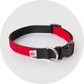 Dog Collar product image 1