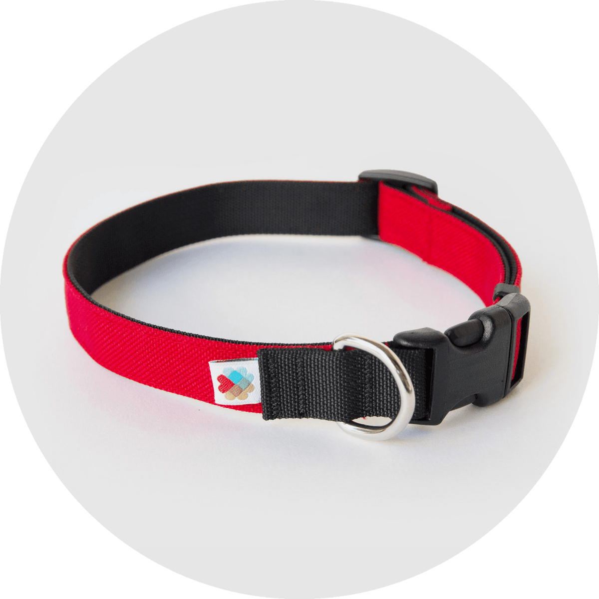 Dog Collar product image 1