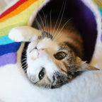 Cat Cave Bed product image 3
