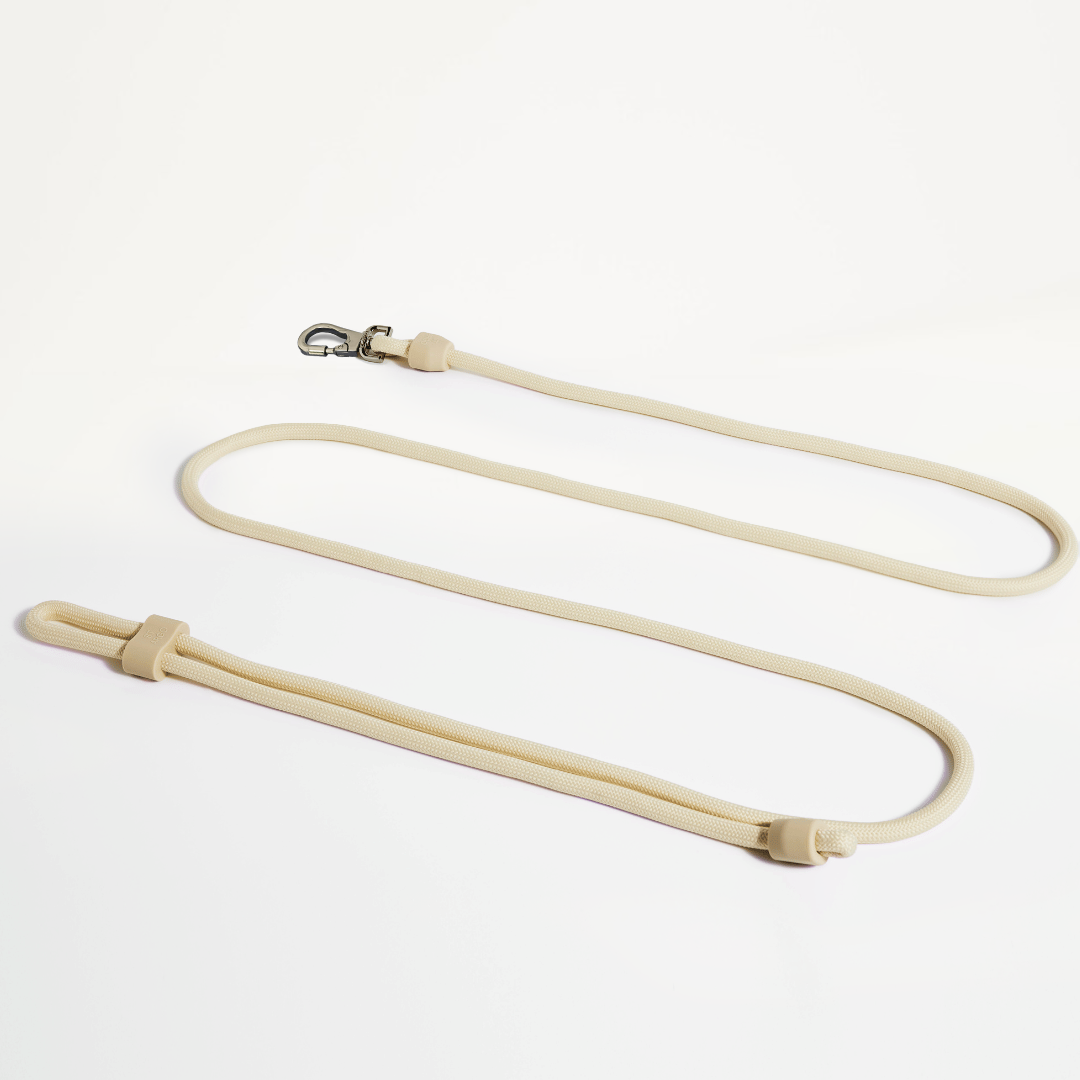 Hands-Free Dog Leash product image 1
