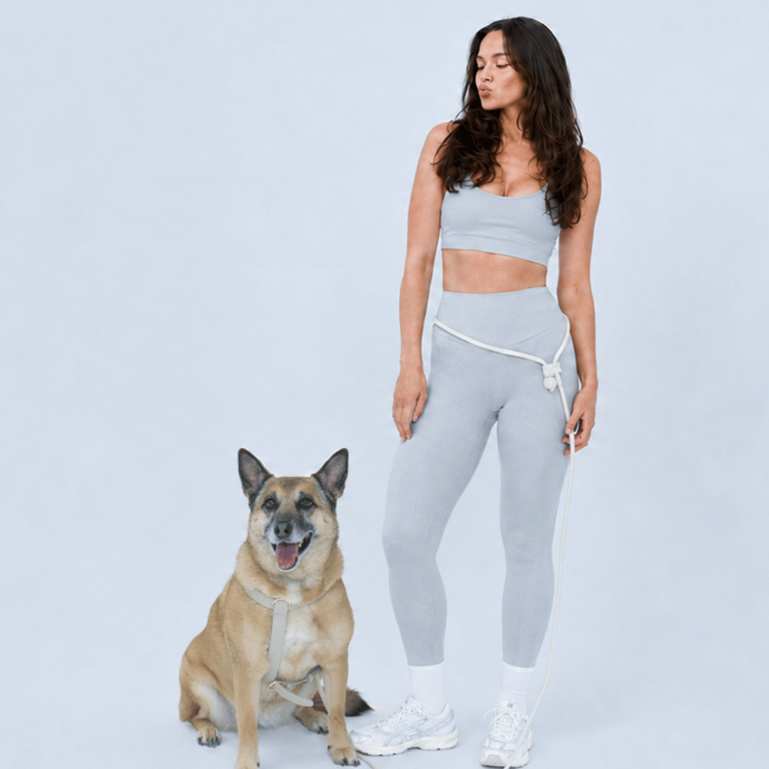 Hands-Free Dog Leash product image 2