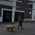 Hands-Free Dog Leash product image 4