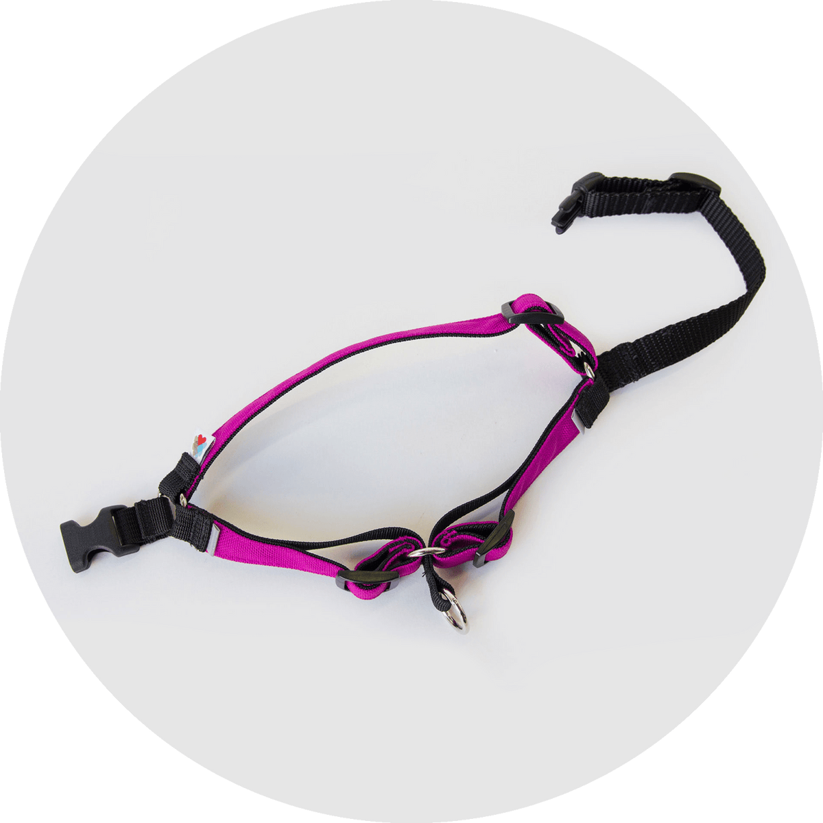 No-Pull Dog Harness product image 3