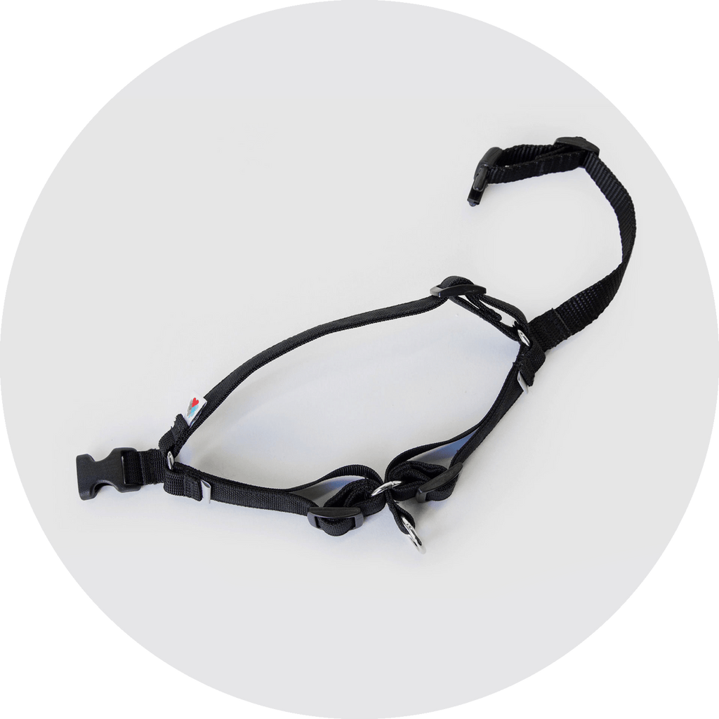 No-Pull Dog Harness product image 7