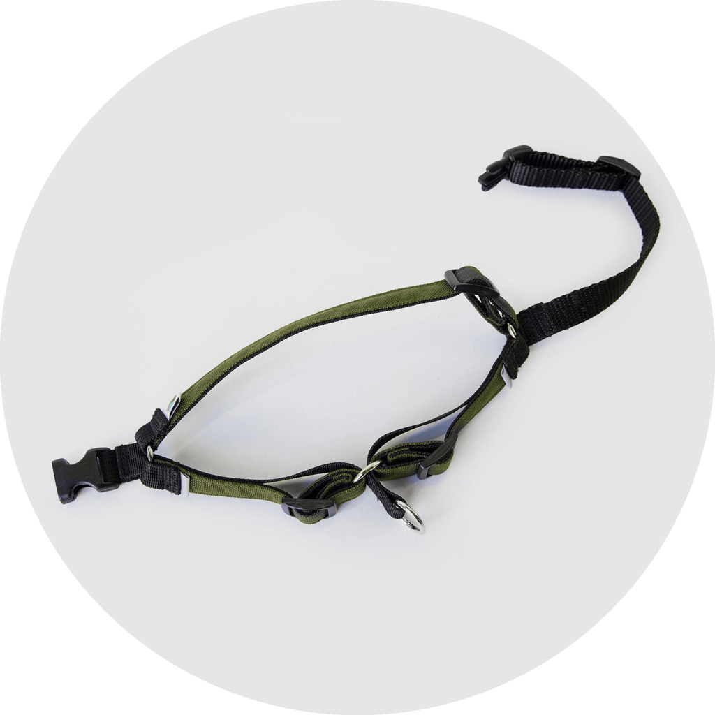 No-Pull Dog Harness product image 15