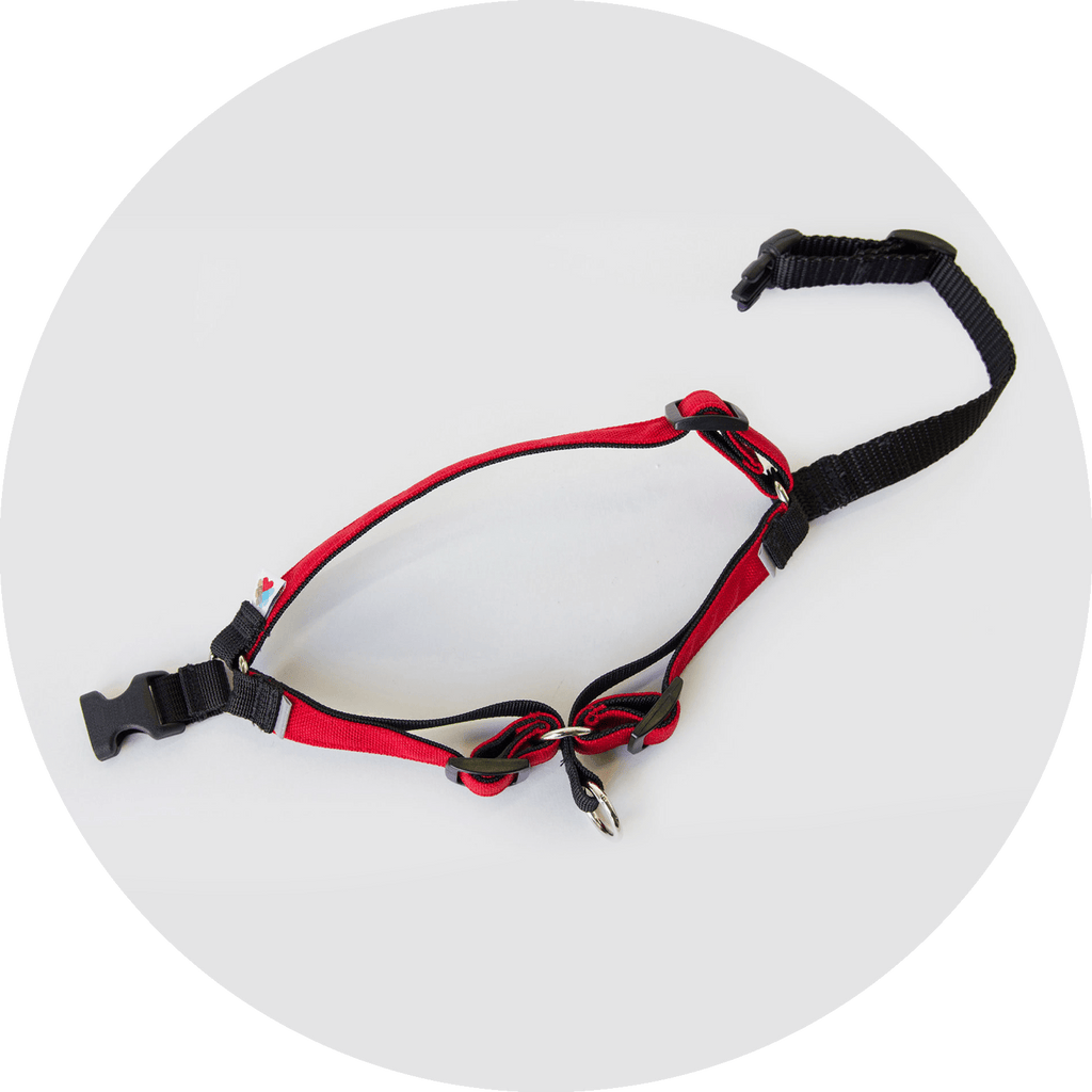 No-Pull Dog Harness product image 19