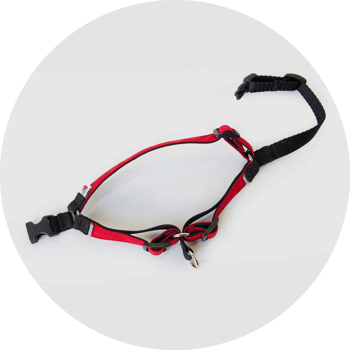 No-Pull Dog Harness product image 19
