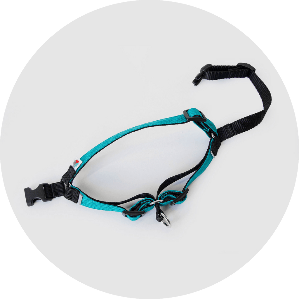 No-Pull Dog Harness product image 23