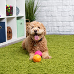 Silent Squeaker Dog Balls product image 5