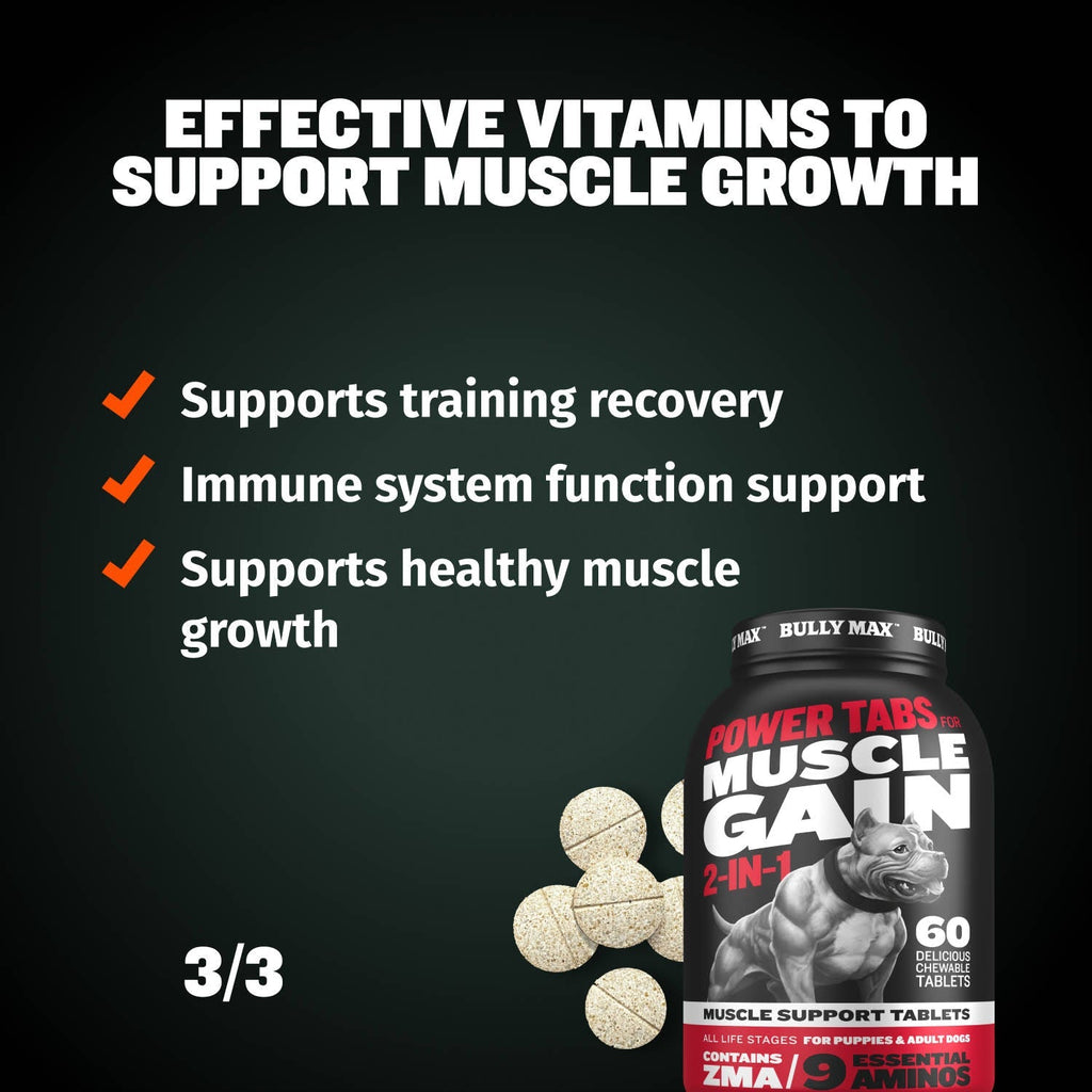 Dog Food and Supplement Bundle product image 6