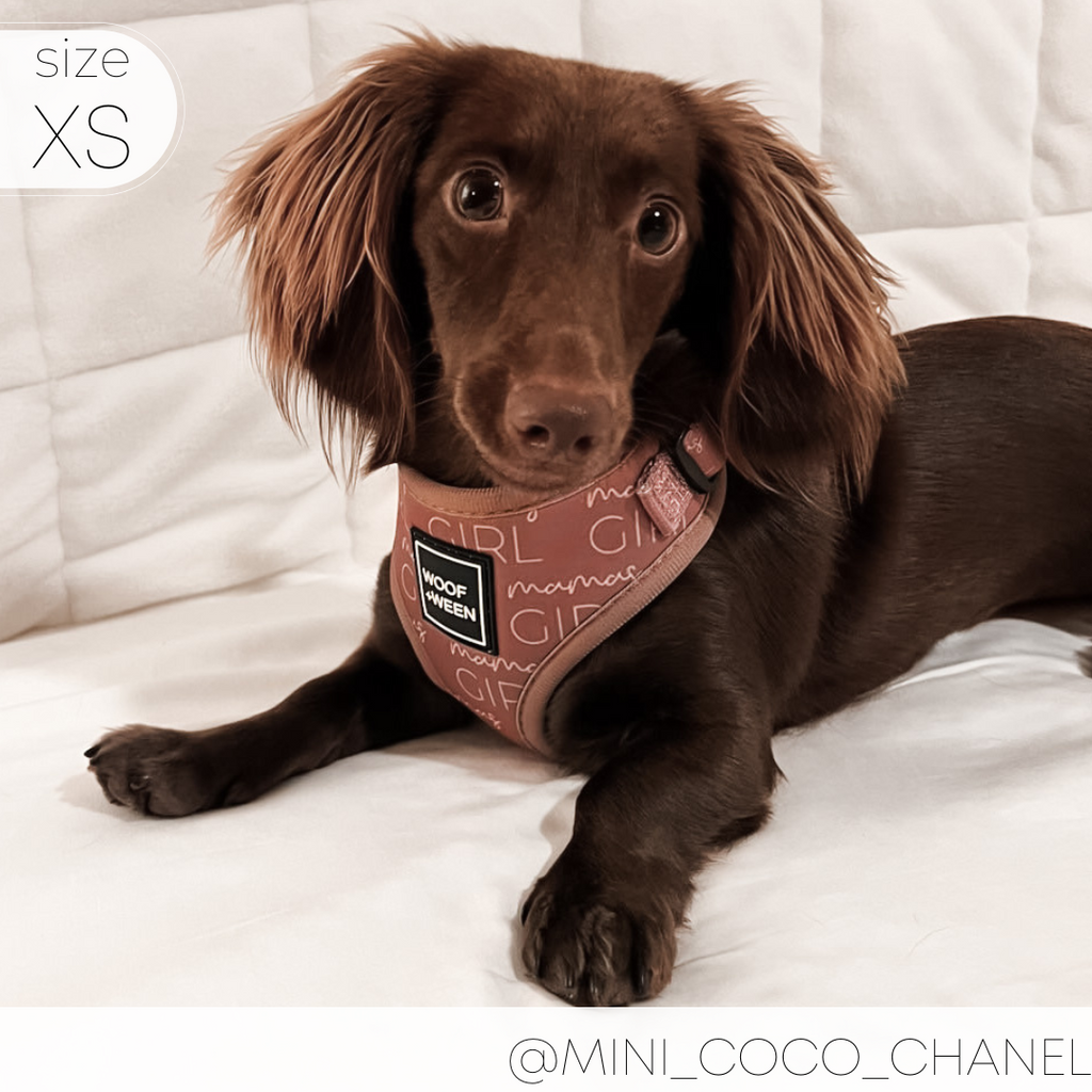 Dog Harness product image 5