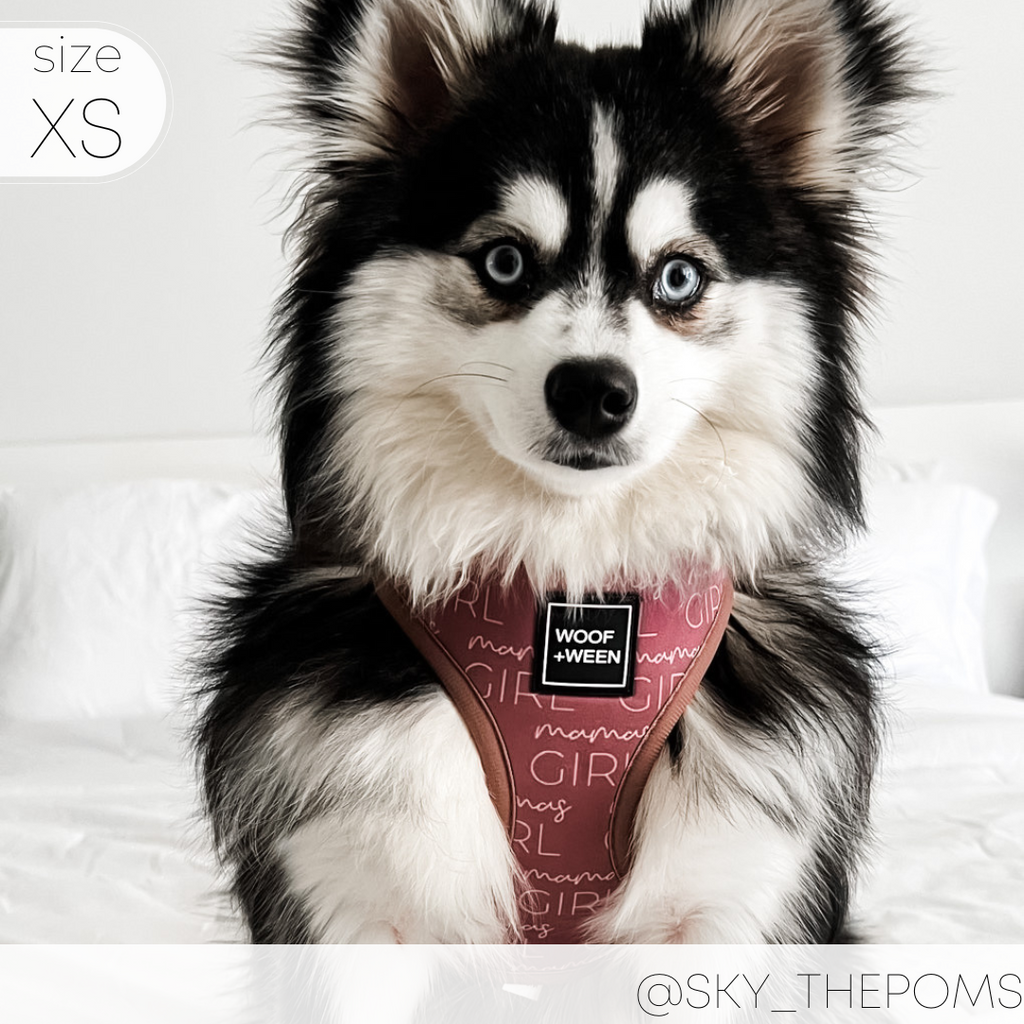 Dog Harness product image 6