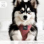 Dog Harness product image 6