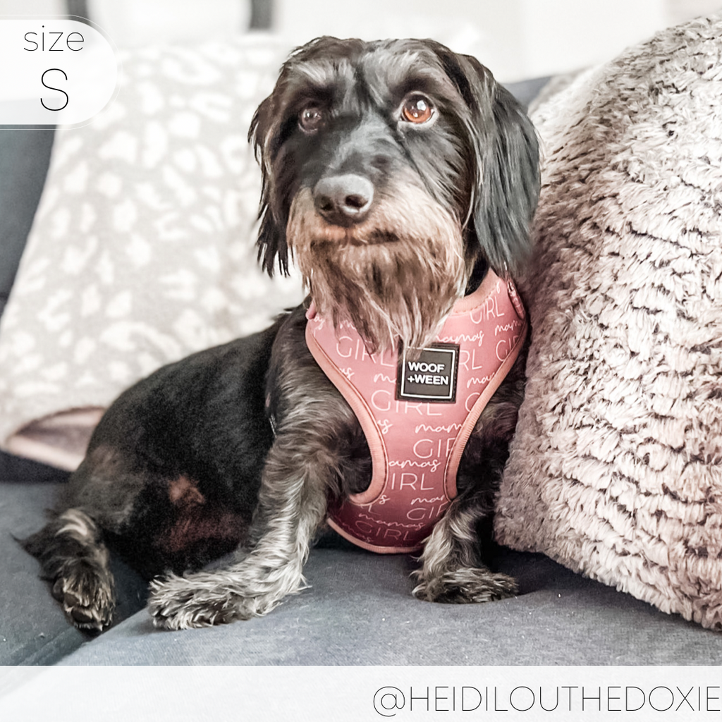 Dog Harness product image 7