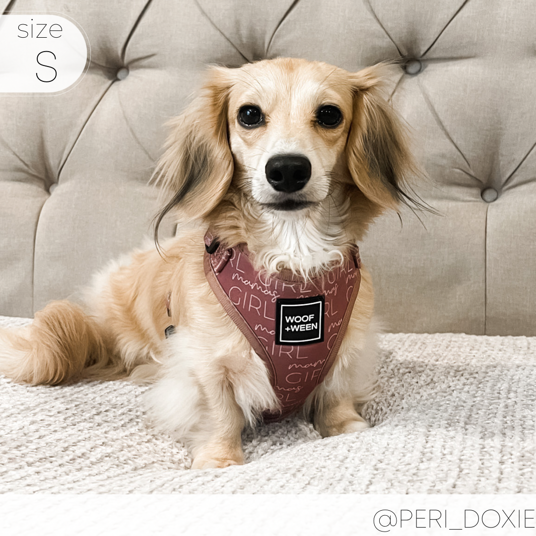 Dog Harness product image 8