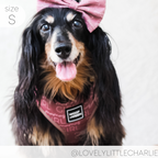 Dog Harness product image 9