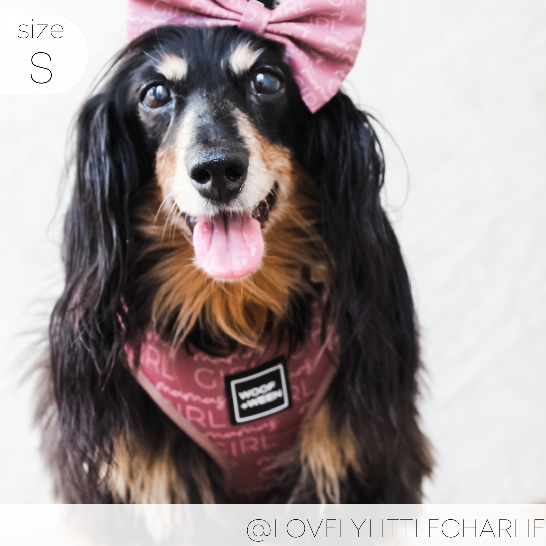 Dog Harness product image 9